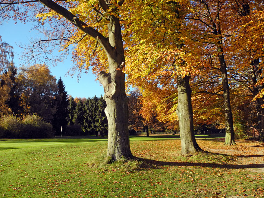 werl_herbst Golfen im Herbst